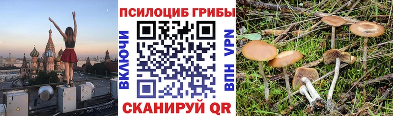 Псилоцибиновые грибы мухоморы  OMG маркетплейс  Печора 